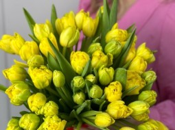 Шикарные тюльпаны в наличии по супер цене 💛При покупке от 15 шт = 60₽ шт